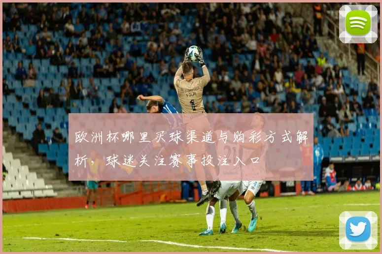 欧洲杯哪里买球渠道与购彩方式解析，球迷关注赛事投注入口