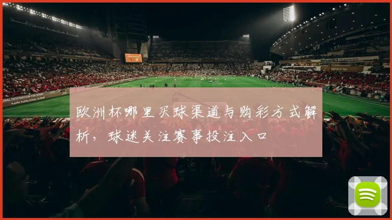 欧洲杯哪里买球渠道与购彩方式解析,球迷关注赛事投注入口