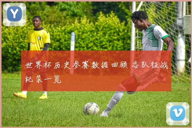 世界杯历史参赛数据回顾 各队征战纪录一览
