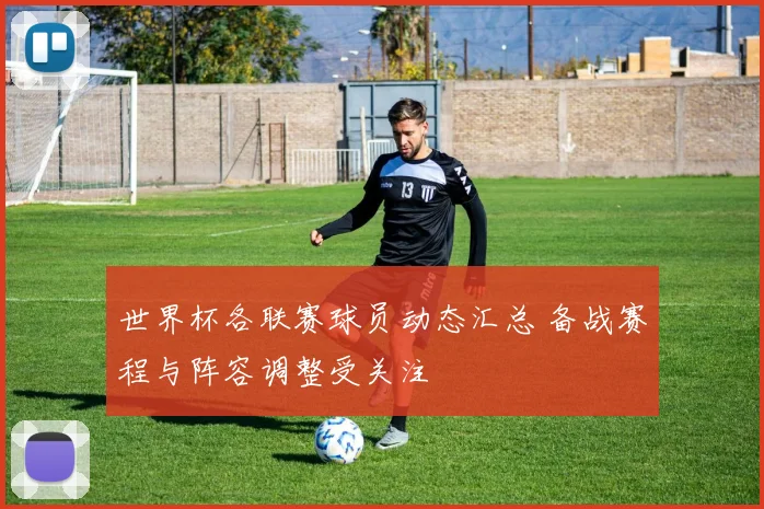 世界杯各联赛球员动态汇总 备战赛程与阵容调整受关注