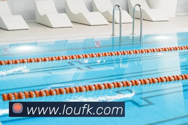 世界杯官网登录app平台生态图