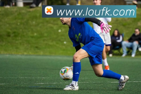 世界杯官网登录appAPP 封面图